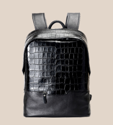 商務(wù)背包雙肩包定制:EN006|皮具廠 商務(wù)背包雙肩包定制:EN006|皮具廠